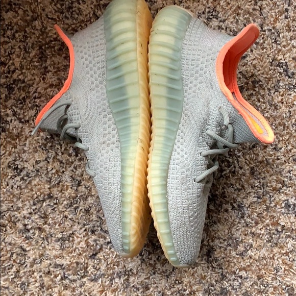Yeezy boost 350 V2 Desert Sage - Picture 5 of 7